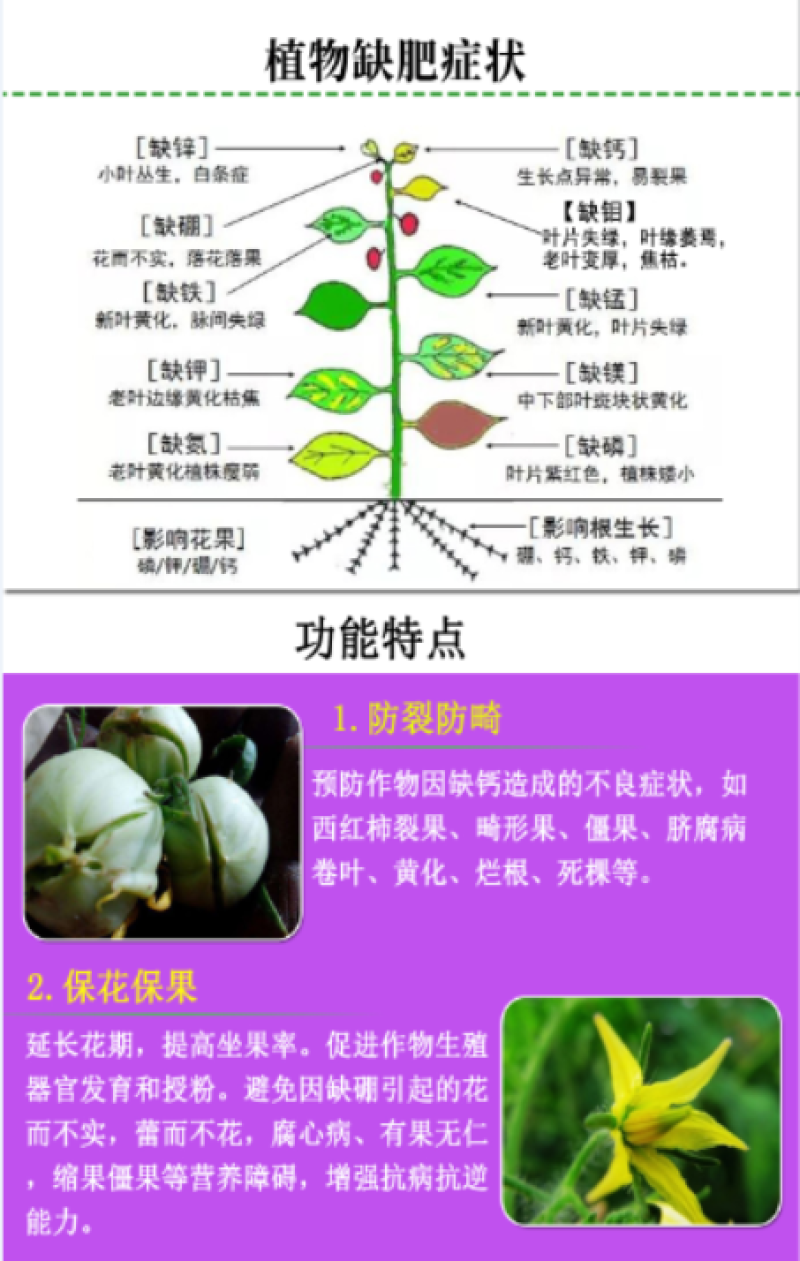 钙镁硼铁锌五元素同补中量元素水溶肥营养均衡全面肥料