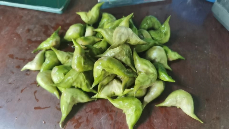 江苏泰州菱角现摘现发老菱角，嫩菱角，菱角米，自产自销