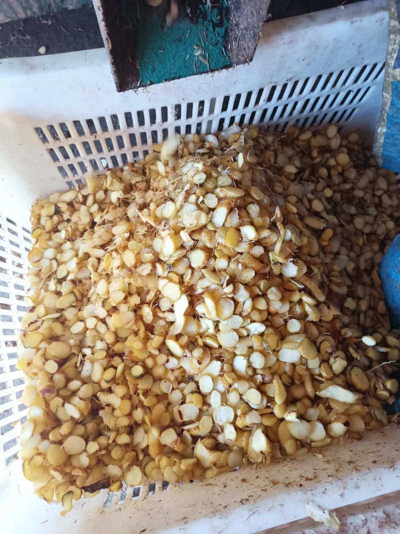 优先玉竹中片，规格齐全，产地一手货源，供应全国，欢迎来电