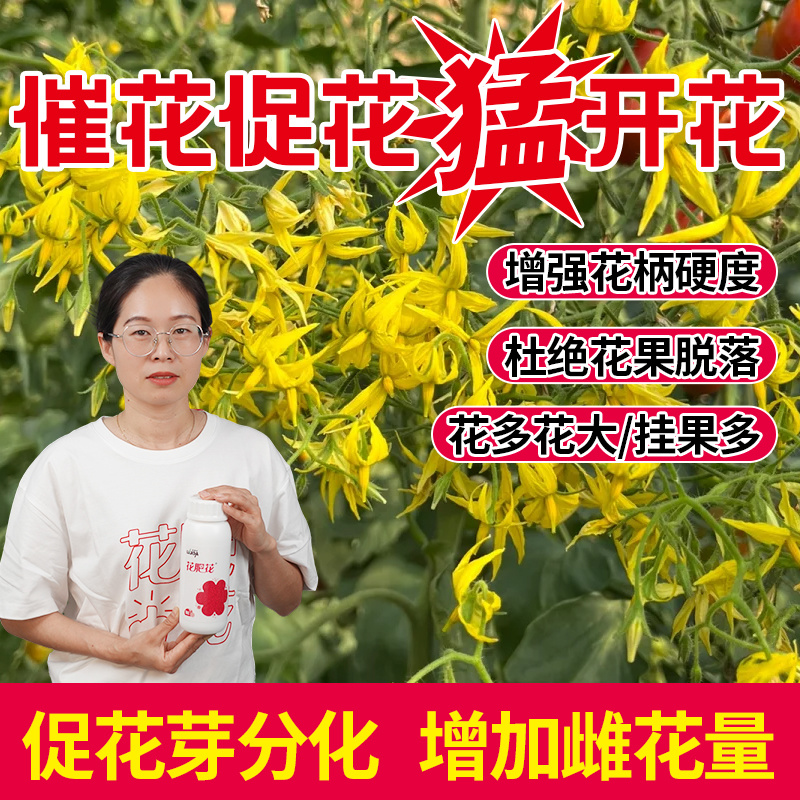 花肥花促花芽增多分化中量元素水溶肥料促授粉坐果肥料