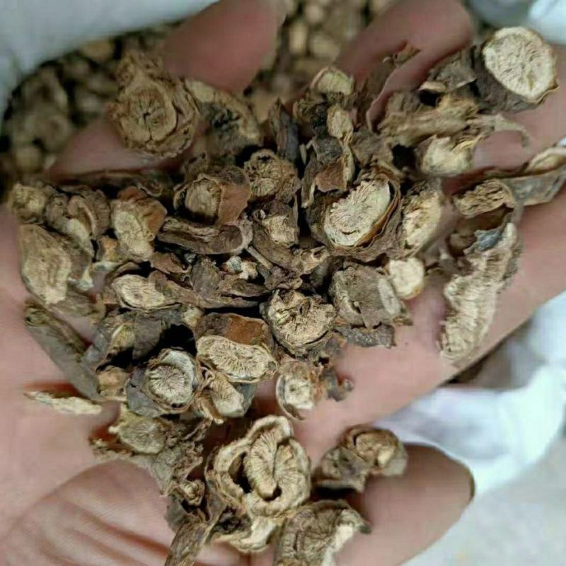 中药材墓头回墓头回墓头灰箭头风追风