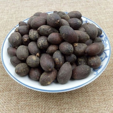 中药材葵扇子葵扇籽葵树籽葵树子蒲扇子蒲葵子