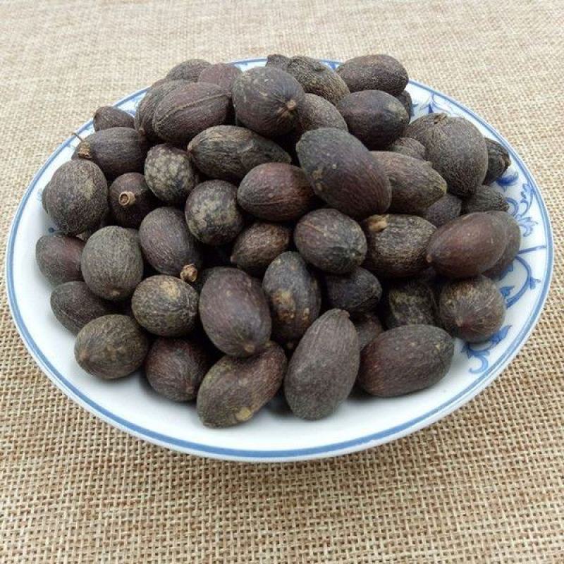 中药材葵扇子葵扇籽葵树籽葵树子蒲扇子蒲葵子