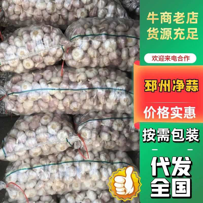 【精品蒜】邳州红皮净蒜代储长年代发全国批发市场