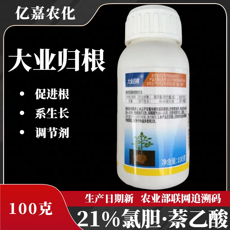 亿嘉农化【大业归根】21%氯胆萘乙酸甘薯根茎植物