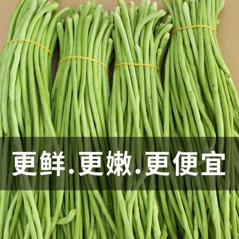 当天现摘长豆角5斤新鲜蔬菜3斤嫩豇豆现摘青豆角可腌制酸豆