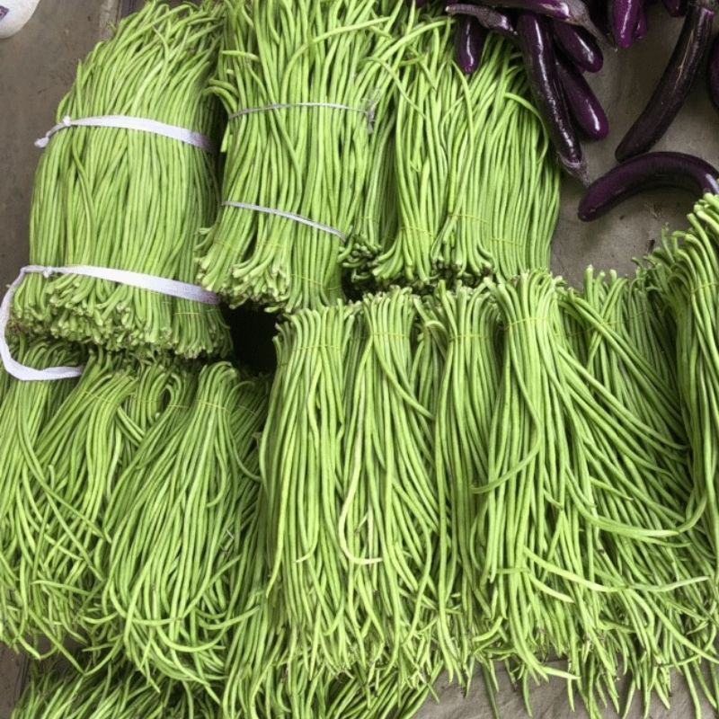 当天现摘长豆角5斤新鲜蔬菜3斤嫩豇豆现摘青豆角可腌制酸豆