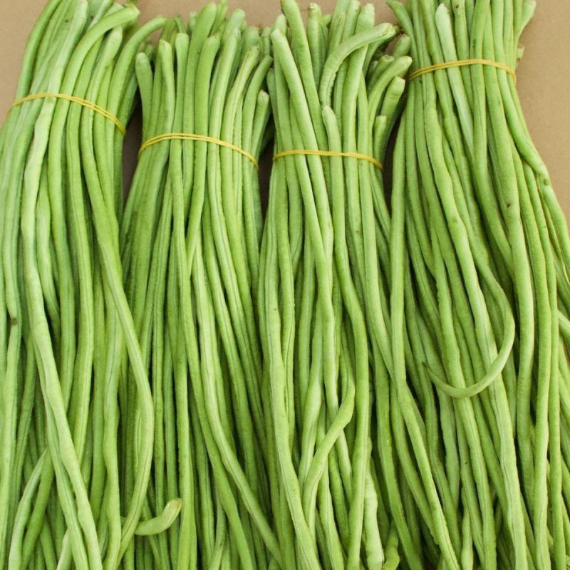 当天现摘长豆角5斤新鲜蔬菜3斤嫩豇豆现摘青豆角可腌制酸豆