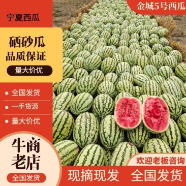 【精选】宁夏硒砂瓜西瓜代办包熟包甜耐运输量大从优