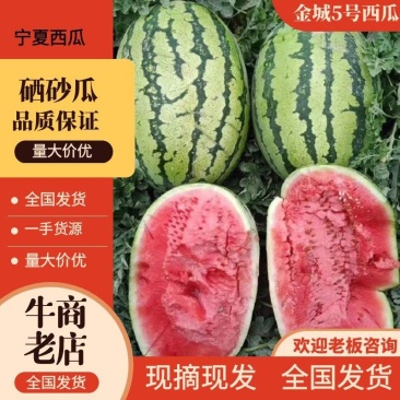 【推荐】宁夏硒砂瓜代办包熟包甜耐运输量大从优