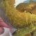 富硒一号贝贝南瓜新鲜采摘，当天订当天摘