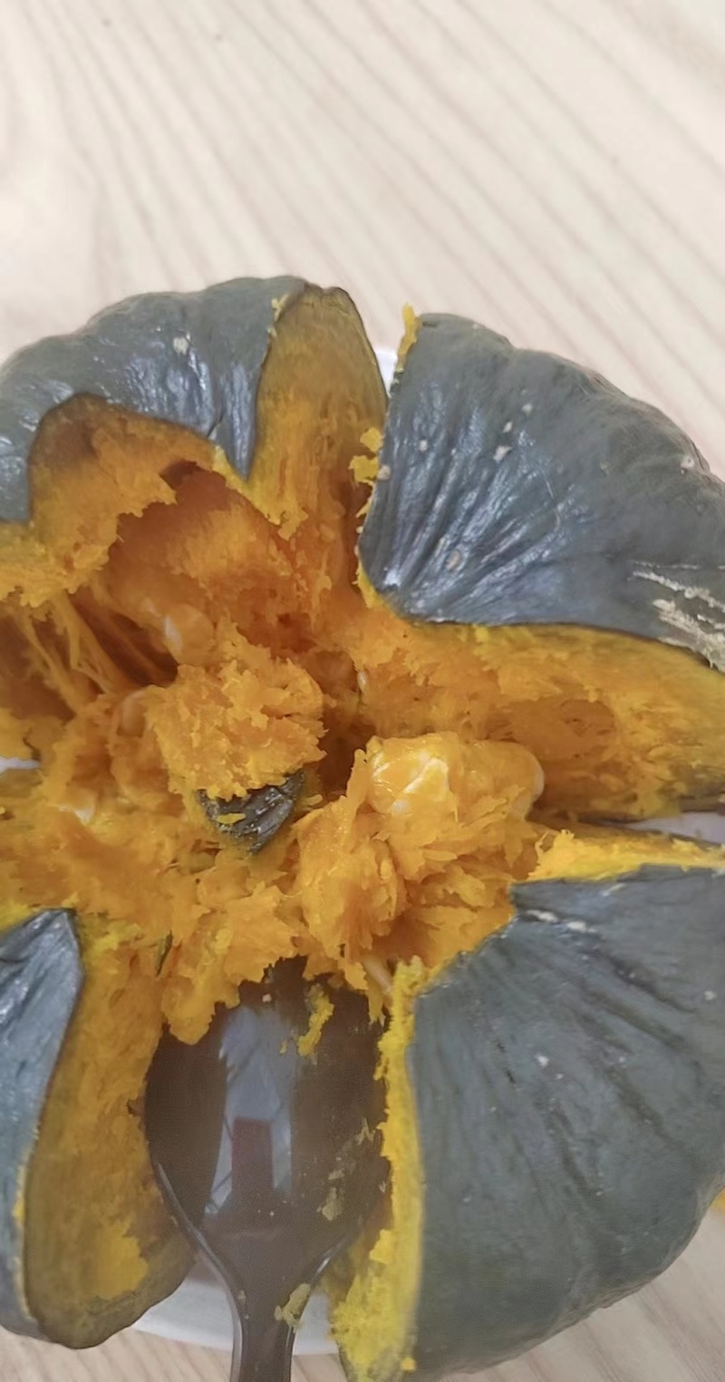 富硒一号贝贝南瓜新鲜采摘，当天订当天摘