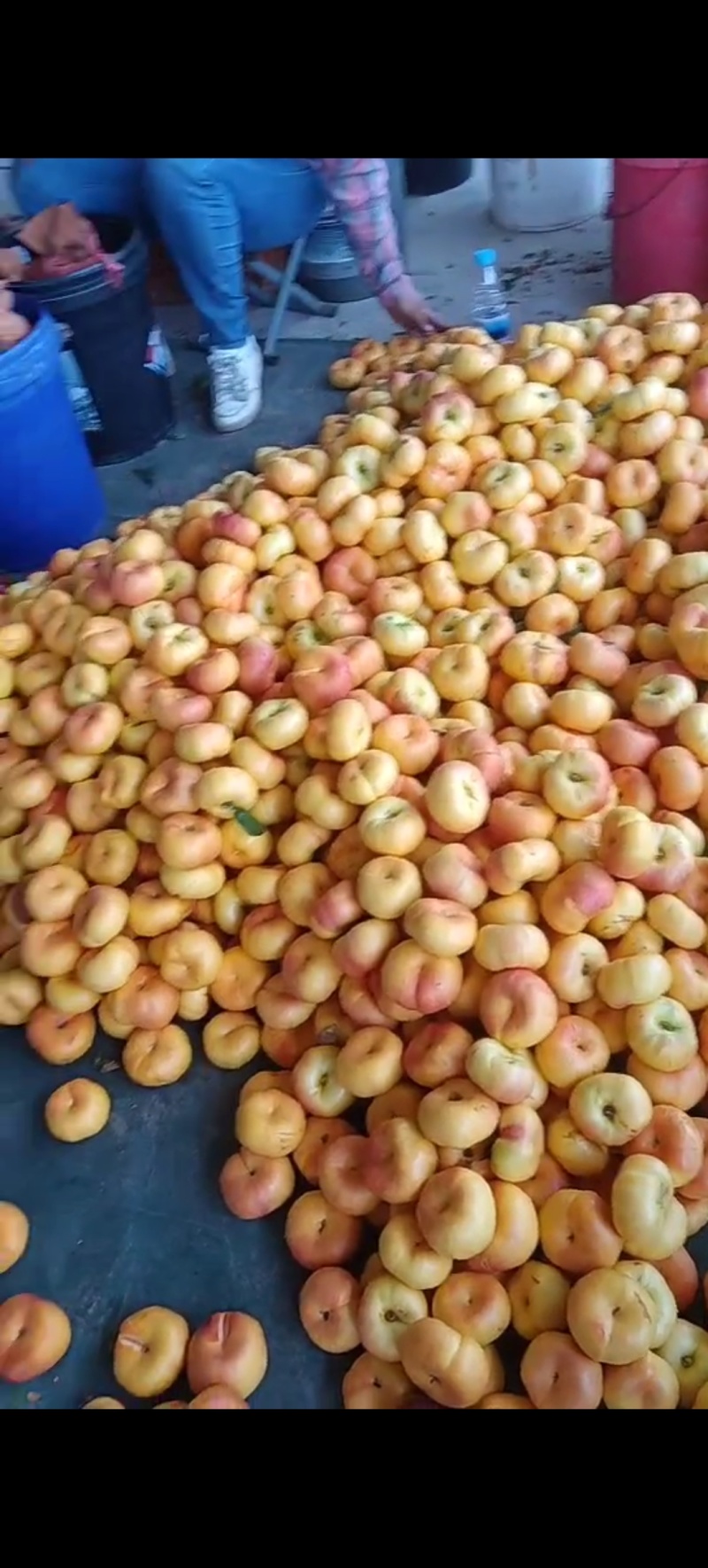 黄油蟠桃