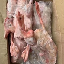 老鹅批发，白条鹅价格，东北老鹅，南方老鹅