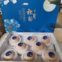 秋月梨一手海量货源无痕发货大量供应直播带货电商一件代发