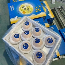 秋月梨大量供应市场超市直播带货电商无痕一件代发多多仓美团
