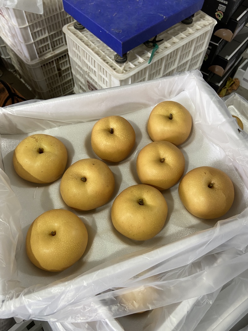 秋月梨大量供应市场超市直播带货电商无痕一件代发多多仓美团