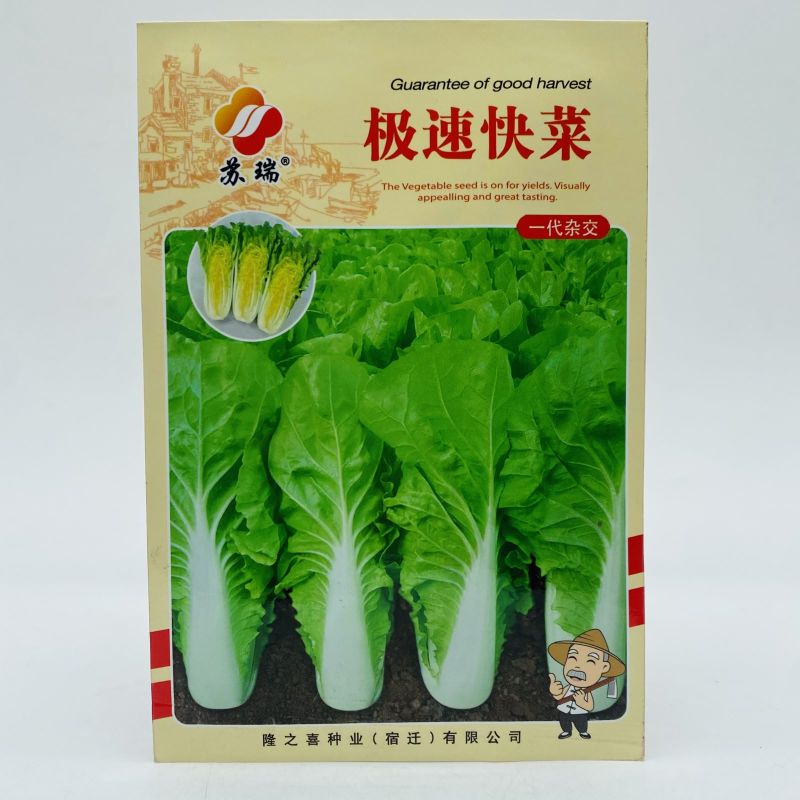 极速快菜种子生长快速不结球杂交速生白菜春夏秋播种耐热