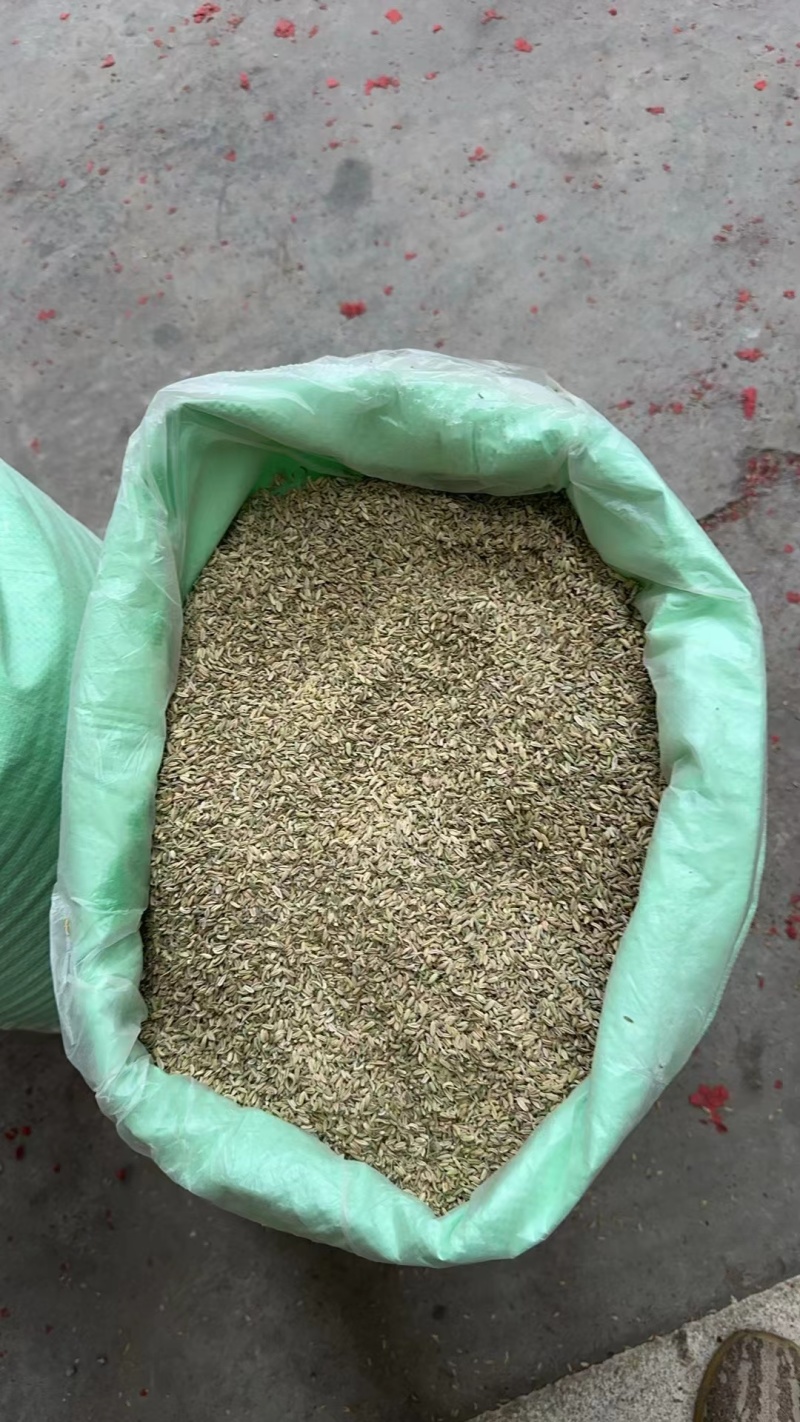 【精品小茴香】甘肃宁夏包过检小茴香香料香辛料