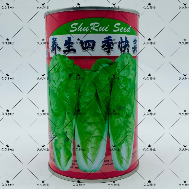 养生四季快菜种子小白菜种籽耐热耐湿抗病农家四季播种蔬菜种