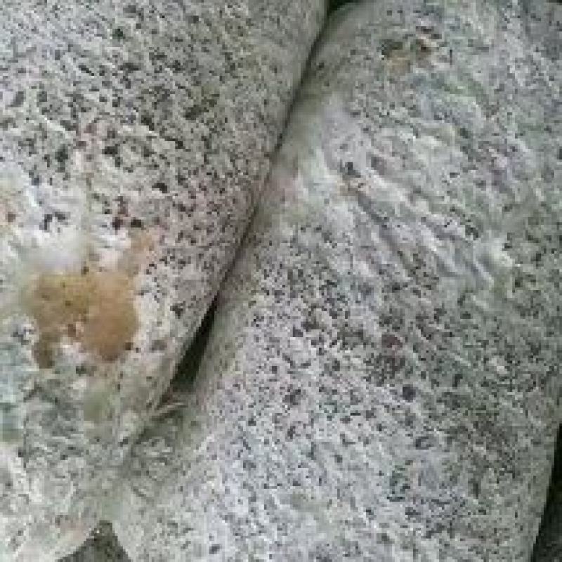 平菇菌棒质优价廉平菇菌棒技术免费指导