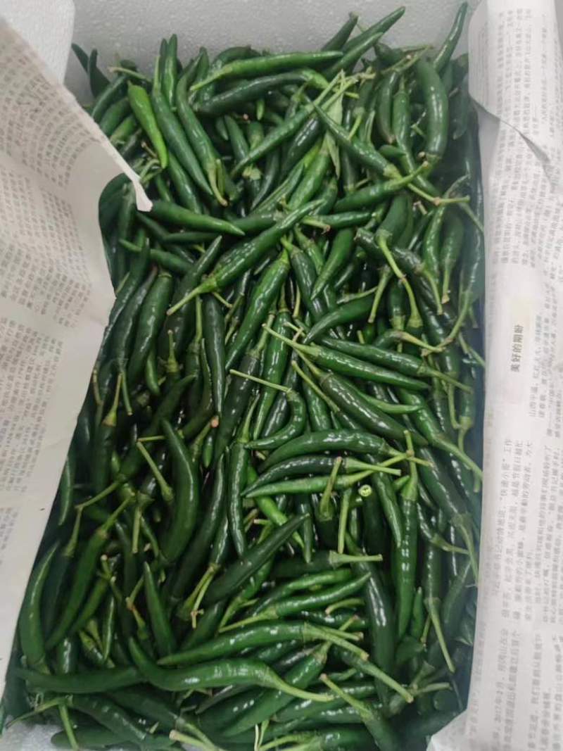 青小米大量有货价格美丽质量保证需要的老板看过来