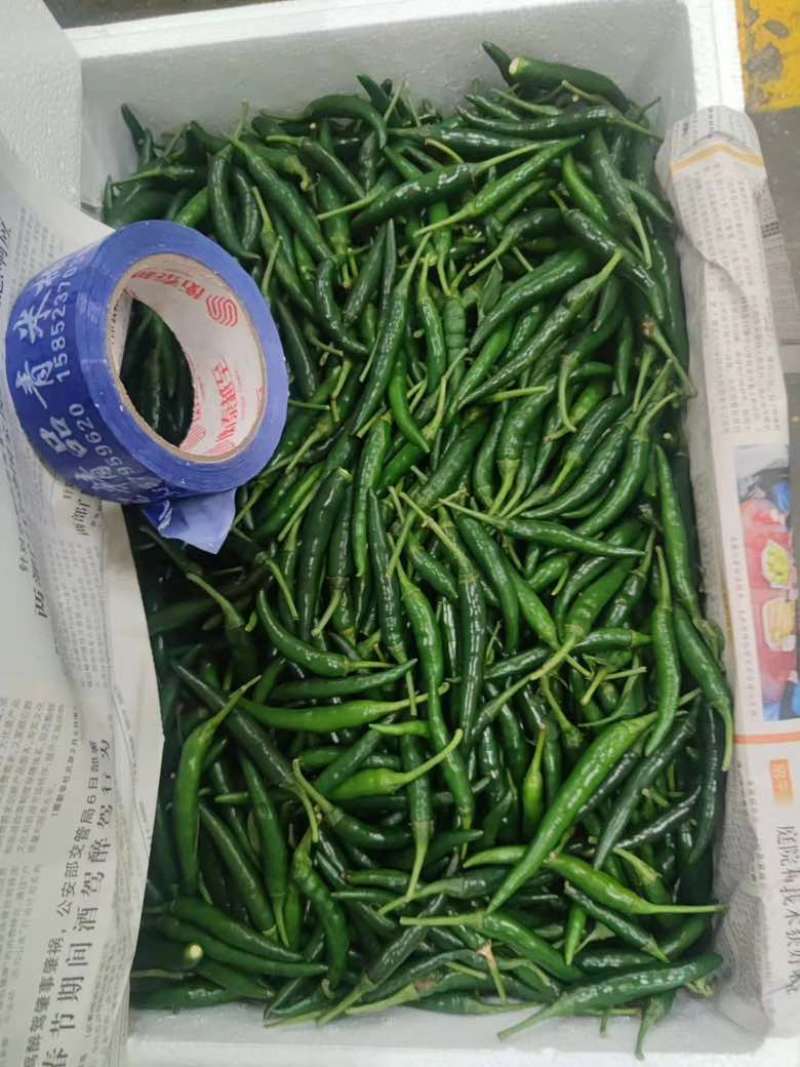 青小米大量有货价格美丽质量保证需要的老板看过来