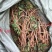 千斤拨，野生小叶千斤拨，大小通货20斤起批，包邮
