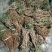 千斤拨，野生小叶千斤拨，大小通货20斤起批，包邮