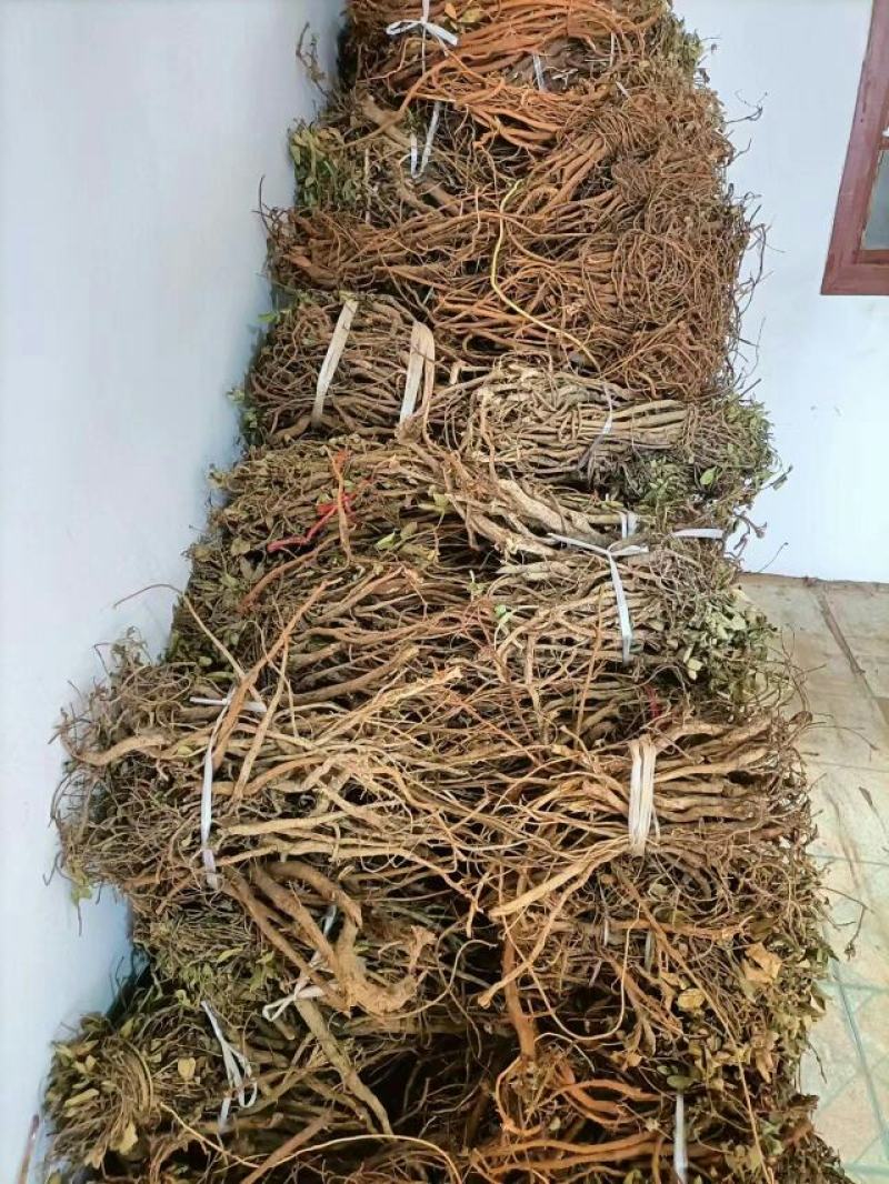千斤拨，野生小叶千斤拨，大小通货20斤起批，包邮