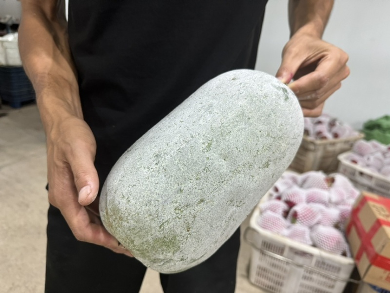 云南小香冬瓜大量上市，对接各大平台，电商市场商超欢迎来电
