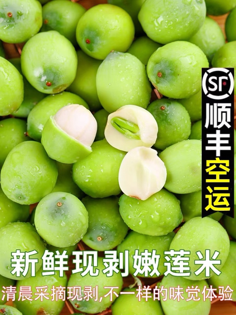 新鲜莲子米