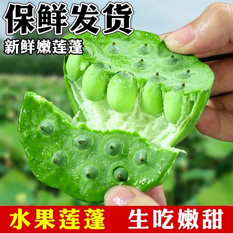 新鲜莲蓬品质保证服务周到产地直发价格美丽