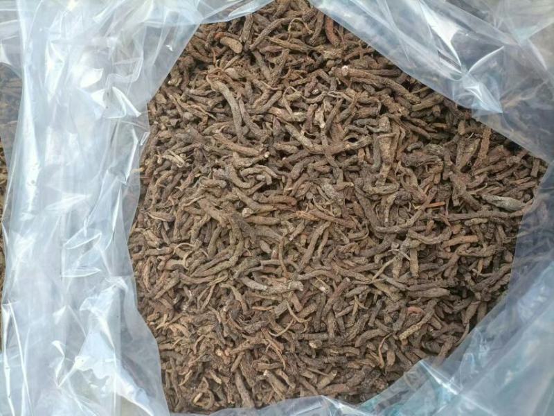 仙茅、小棕根野生山货，大小桶货10斤起批包邮