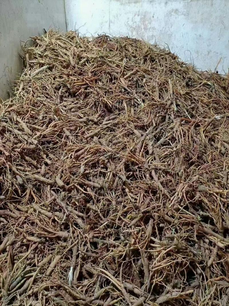 仙茅、小棕根野生山货，大小桶货10斤起批包邮