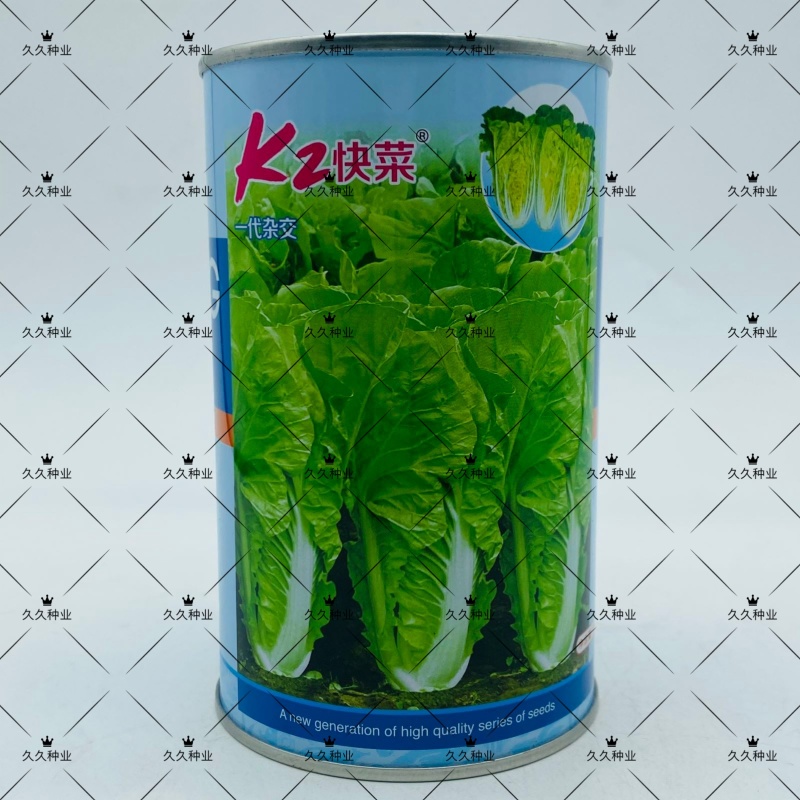 K2快菜小白菜种子耐热高产速生黄芯快菜种子春夏秋四季可播