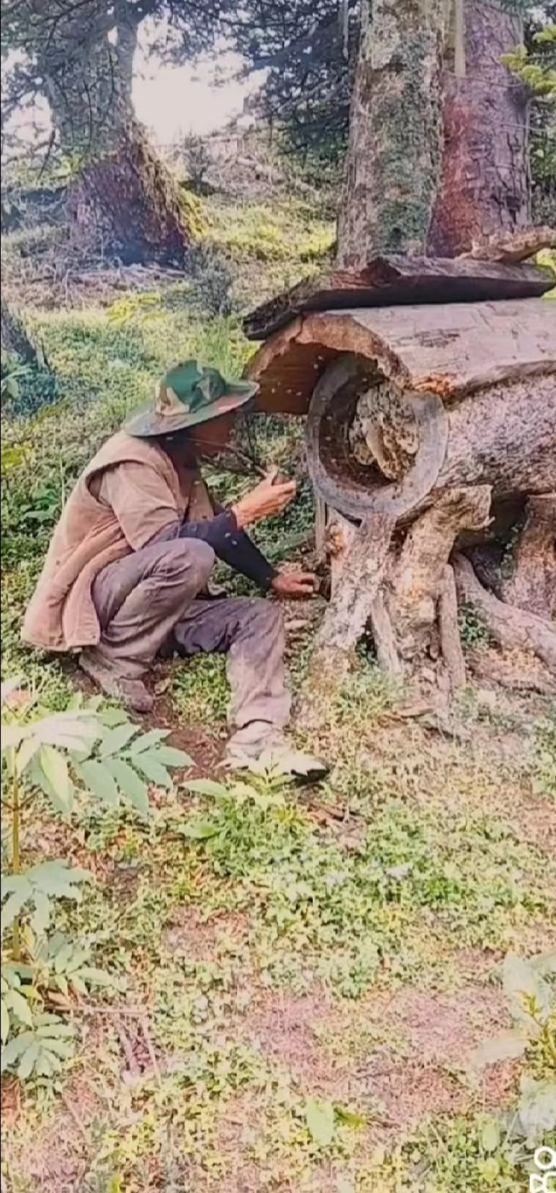 深山百花蜜识货的联系可以合作