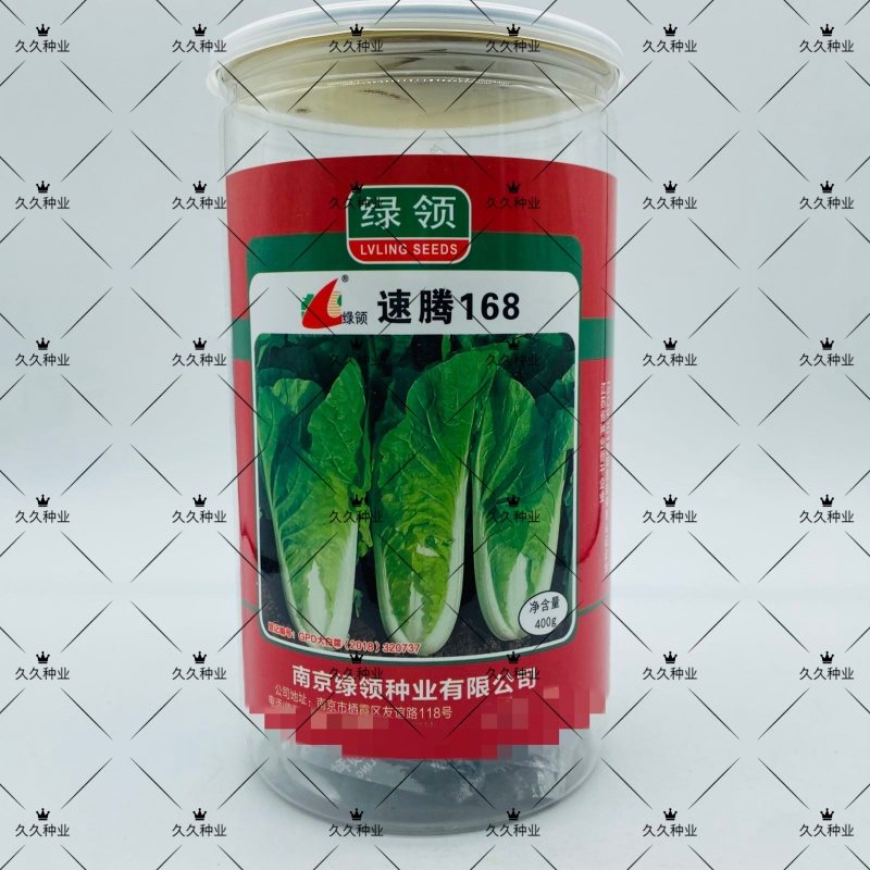绿领速腾168快菜种子耐热耐湿速生小白菜毛白菜