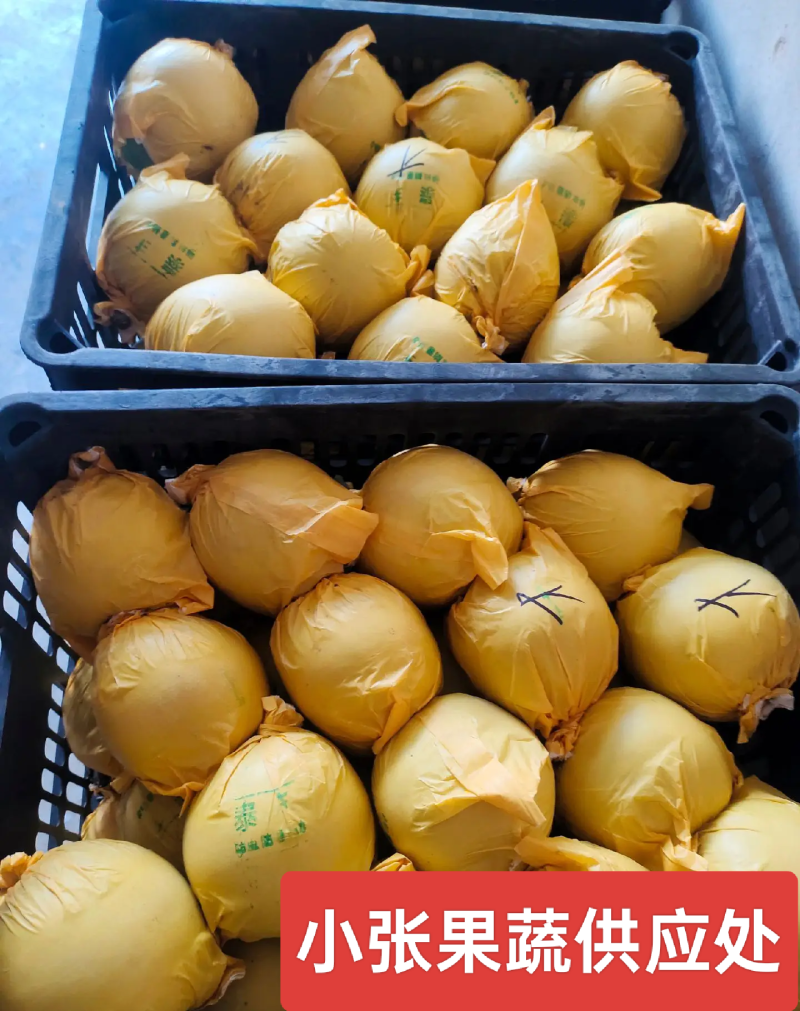 翠玉梨口感细腻核小万亩基地直供保质保量实力代收发电商超