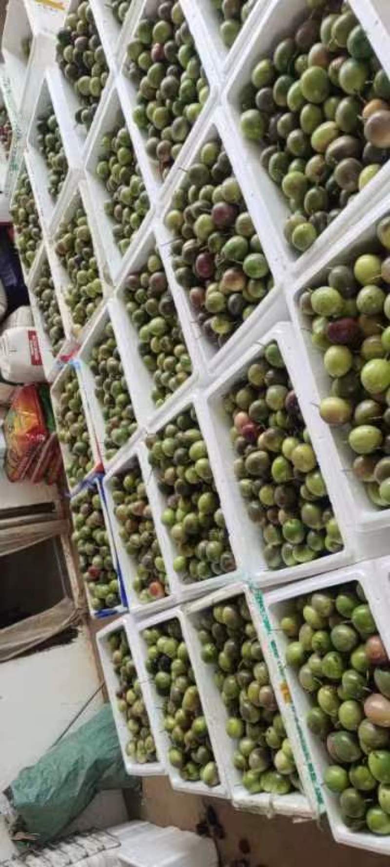百香果工厂加工果