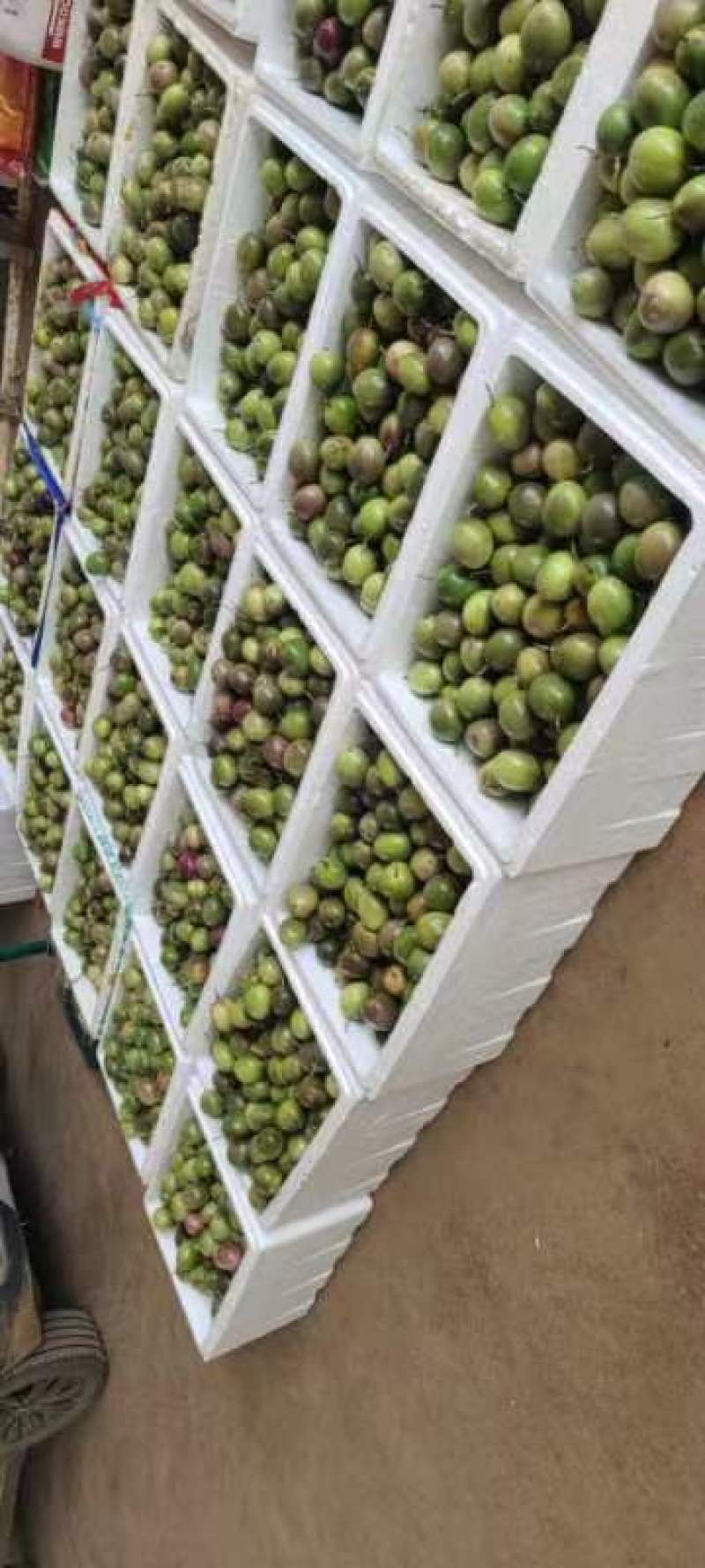 百香果工厂加工果