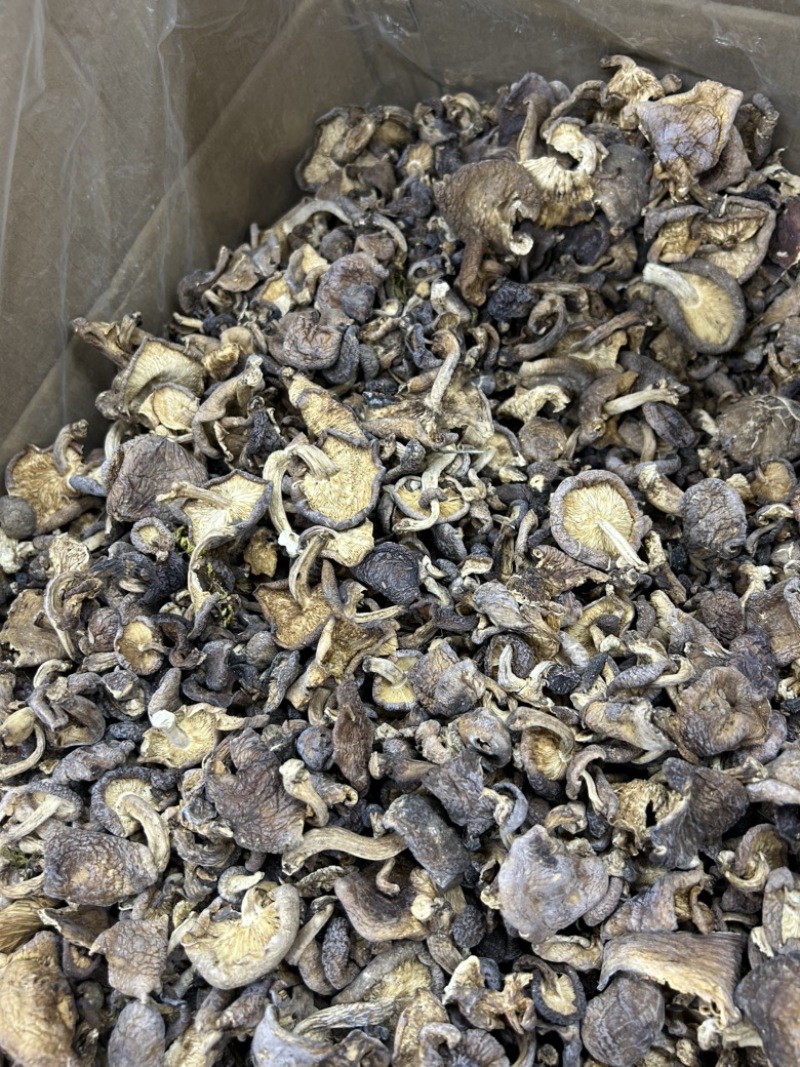 云南香格里拉野生香菇野生菌云南食用菌煲汤料