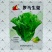 罗马生菜种子耐热抗病生菜种籽农家菜园庭院春秋四季蔬菜种子