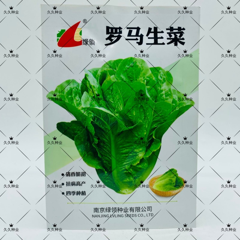 罗马生菜种子耐热抗病生菜种籽农家菜园庭院春秋四季蔬菜种子