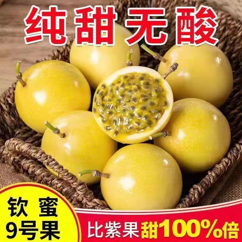 正宗广西钦蜜9号黄金百香果对接电商货市场货各平台长期供应