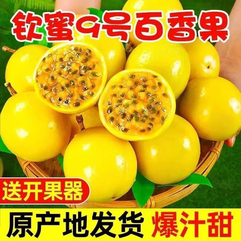 正宗广西钦蜜9号黄金百香果对接电商货市场货各平台长期供应