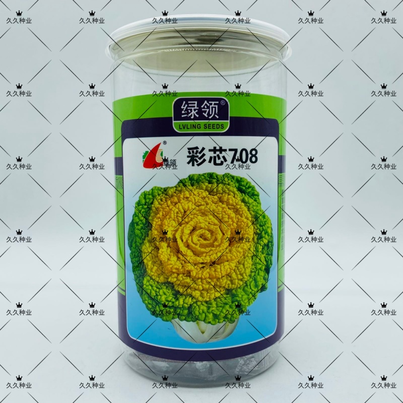 彩芯708黄心乌塌菜白菜种籽高产耐寒春秋播矮脚白梗黄心乌