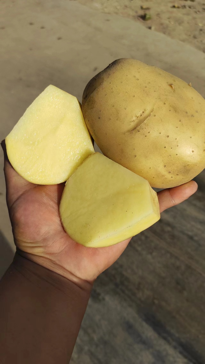 沃土土豆