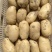 沃土土豆