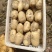 沃土土豆